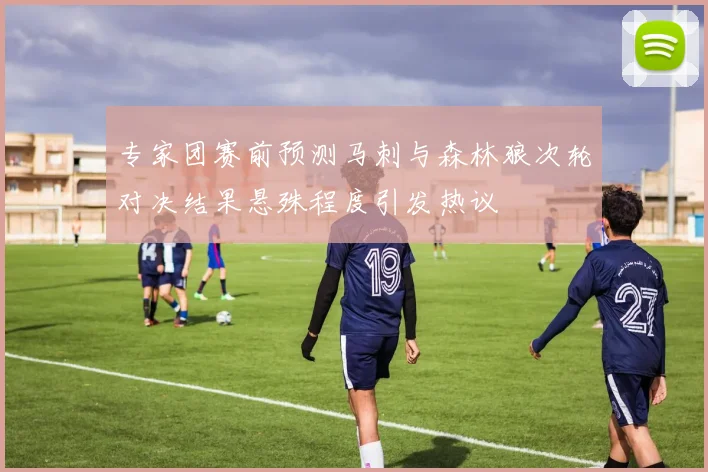专家团赛前预测马刺与森林狼次轮对决结果悬殊程度引发热议